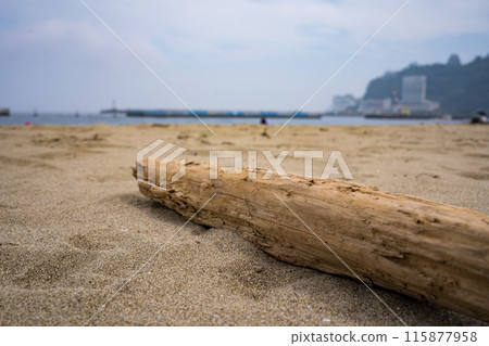 漂流木在沙灘上推出 漂流木在沙灘上推出 115877958