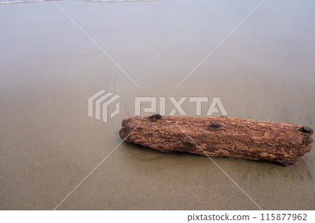 Driftwood launched on the beach Driftwood launched on the beach 115877962