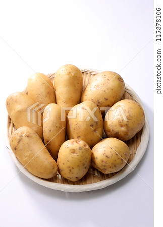 男爵自製新馬鈴薯 115878106