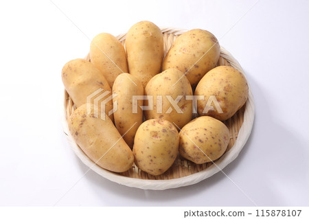 Danshaku potato May Queen New potato 115878107