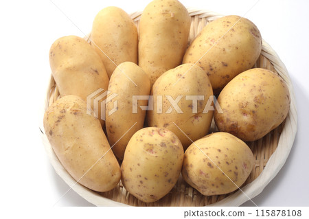 Danshaku potato May Queen New potato 115878108