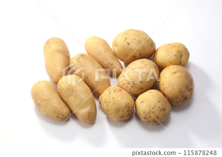 男爵自製新馬鈴薯 115878248