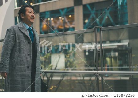 business man, gents, male 115878256