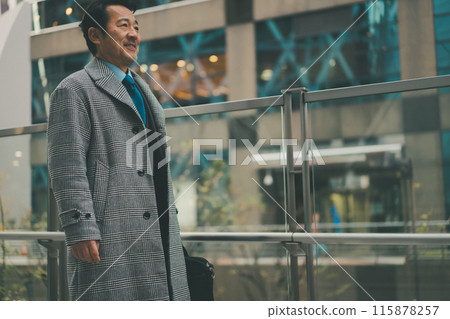 商務人士 商人 男性白領 115878257