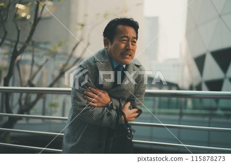 business man, winter, gents 115878273