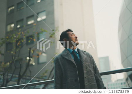 business man, gents, male 115878279