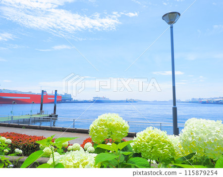 Blue sea, blue sky and hydrangea 115879254