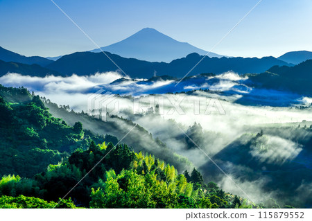 A glowing sea of clouds and Mount Fuji as seen from Yoshiwara, Shimizu Ward 115879552