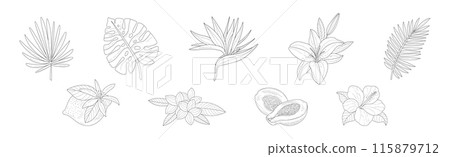 Tropical Exotic Flora and Foliage Sketch Vector Set 115879712
