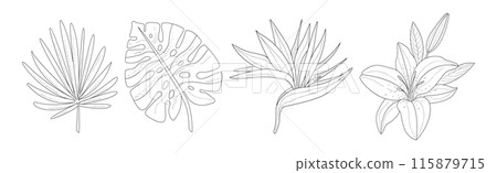 Tropical Exotic Flora and Foliage Sketch Vector Set Tropical Exotic Flora and Foliage Sketch Vector Set 115879715