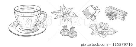 Tea Drink Brewing Herb and Fragrant Plant Vector Set Tea Drink Brewing Herb and Fragrant Plant Vector Set 115879716