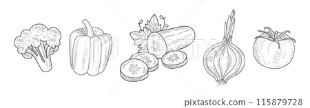 Garden Crop Harvest with Fresh Ripe Vegetable Vector Set 115879728