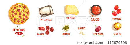 Pizza Ingredient and Food Component for Cooking Vector Set 115879798