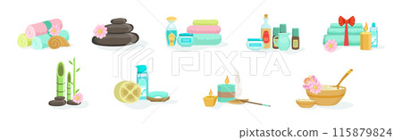 Spa Wellness Salon Item and Objects Vector Set 115879824