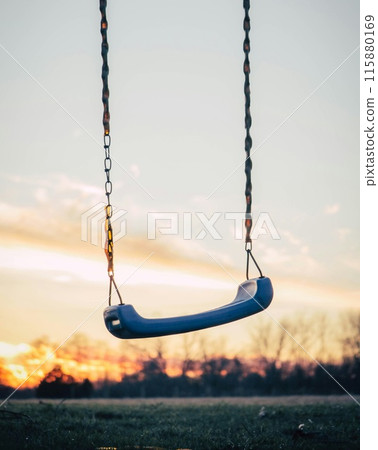 Swing in nature Swing in nature 115880169