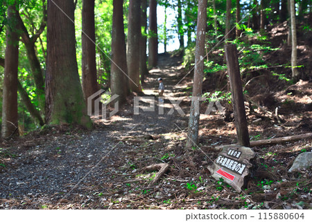 Sakamoto Ryuma Deprivation path 115880604