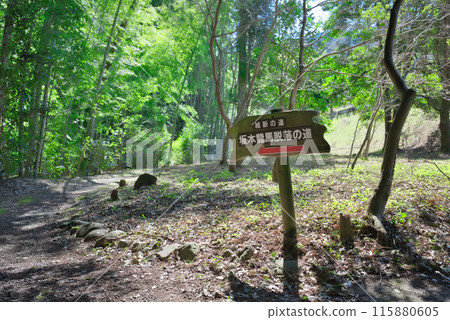 Sakamoto Ryuma Deprivation path 115880605