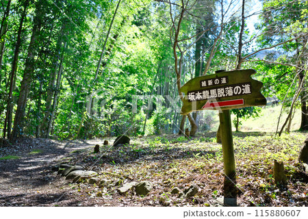 坂本龍馬剝奪路徑 坂本龍馬剝奪路徑 115880607