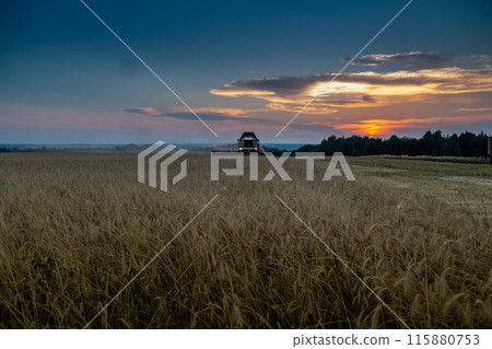 Combine harvester harvests wheat at sunset 115880753