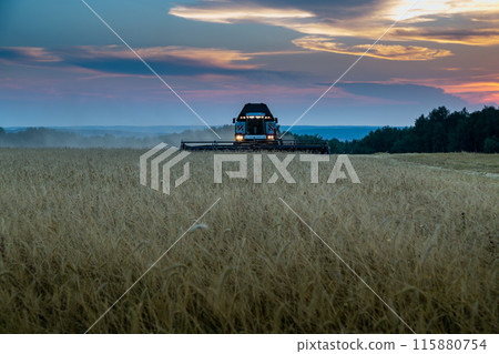 Combine harvester harvests wheat at sunset 115880754
