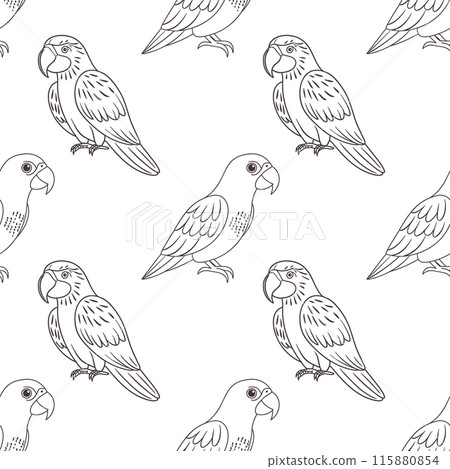 Seamless pattern, linear drawings of tropical parrots on a white background. Cute macaw birds. Design for textile, background, print 115880854