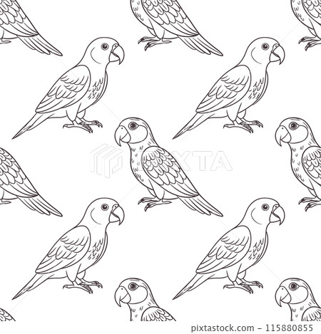 Seamless pattern, linear drawings of tropical parrots on a white background. Cute macaw birds. Design for textile, background, print 115880855