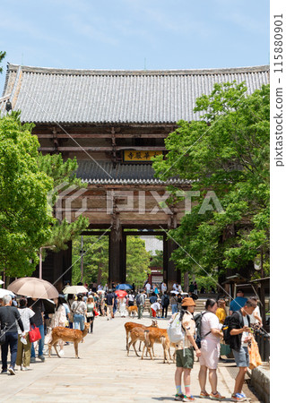Nandaimon of Todaiji Temple in Nara 115880901
