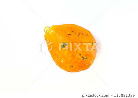 南瓜 南瓜 南瓜 南瓜 115881359