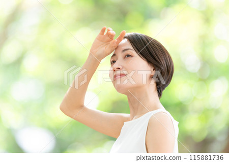 Beauty, Fresh green, Looking up Beauty, Fresh green, Looking up 115881736