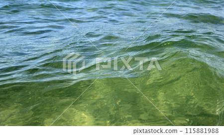 Beautiful wavy surface of clean and transparent turquoise sea water, 115881988
