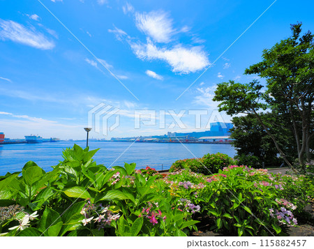 The blue sky and the blue sea 115882457