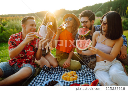 Cheerful company on sunny meadow at picnic is resting, drinking beer, cheers. Holliday concept. 115882616