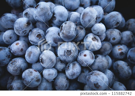 Lots of blueberries 115882742