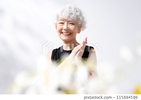 Beauty Gray-haired woman Front blur Beauty Gray-haired woman Front blur 115884586