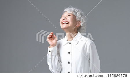 灰色頭髮的女人肖像 115884776