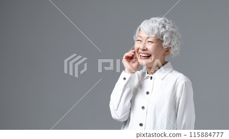 灰色頭髮的女人肖像 115884777