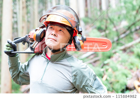 A forest worker is moving with a chainsaw on his shoulder, with a well-maintained forest in the background. A forest worker is moving with a chainsaw on his shoulder, with a well-maintained forest in the background. 115884982
