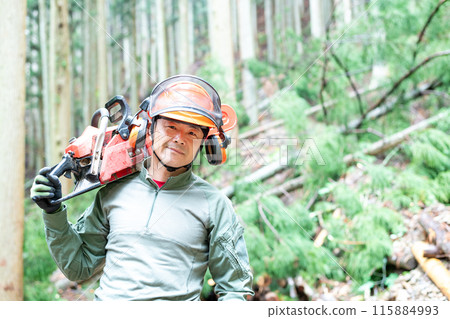A forest worker carrying a chainsaw from one logging site to the next after logging is completed. 115884993