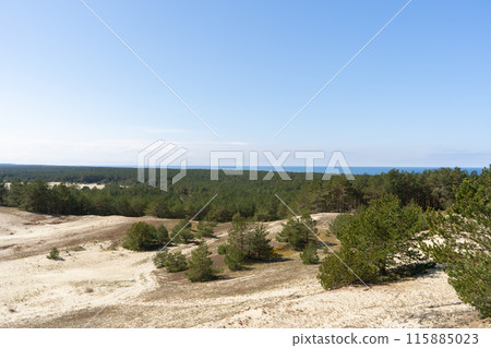 View from Efa height. Coniferous forest on the dunes of the Curonian Spit, Baltic sea. Kaliningrad region. 115885023
