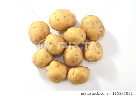 Danshaku potato New potato Danshaku potato New potato 115885091