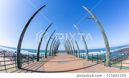 Pier Jetty Beach Ocean Public Pier Jetty Beach Ocean Public 115885359
