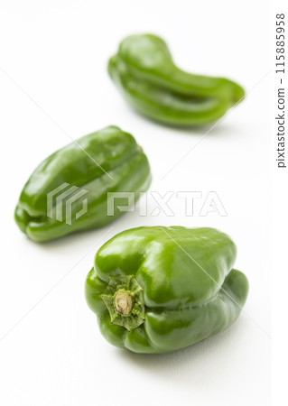 白色背景上的青椒 白色背景上的青椒 115885958