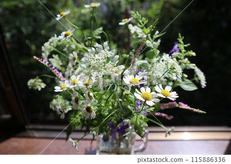 Arranging white flowers blooming in the garden 115886336