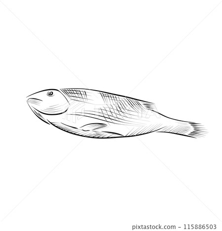 drawing lines. line art - fish. Vector minimalistic 115886503