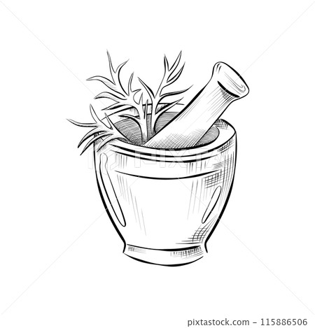drawing lines. art-line - art-line - spice mortar with spices and herbs. 115886506