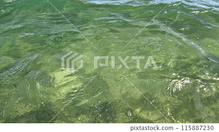 Transparent natural background of green clean sea water Transparent natural background of green clean sea water 115887230
