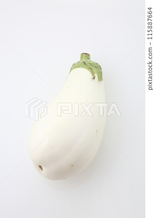 White eggplant 115887664
