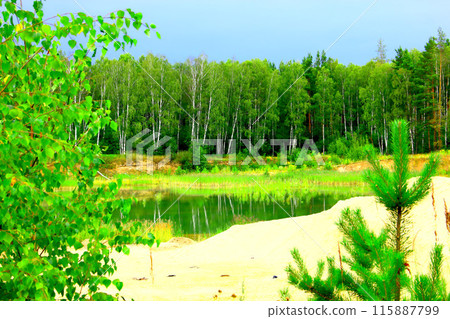 Lake with blue green surface Lake with blue green surface 115887799