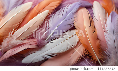 feathers on the background of the feathers 115887852