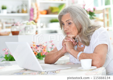 Cute nice senior woman using laptop at home 115888134